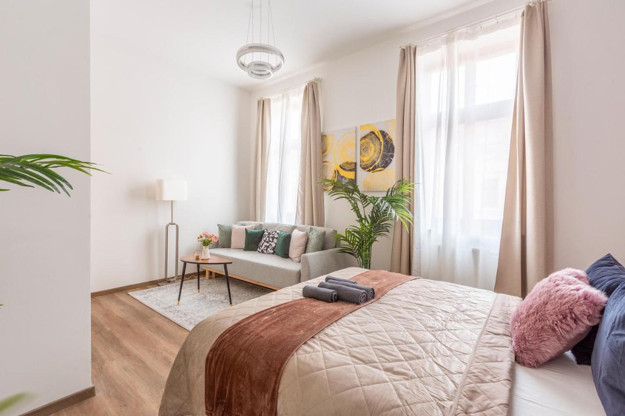 Explore From A Luxurious Cozy
